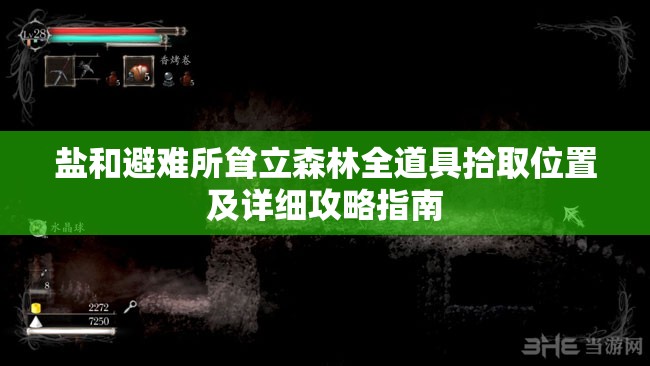 盐和避难所耸立森林全道具拾取位置及详细攻略指南