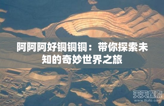 阿阿阿好铜铜铜：带你探索未知的奇妙世界之旅