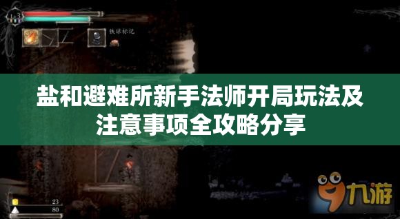 盐和避难所新手法师开局玩法及注意事项全攻略分享