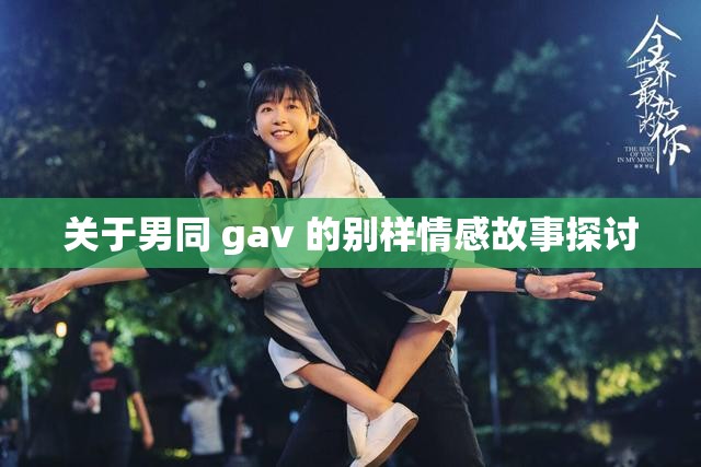 关于男同 gav 的别样情感故事探讨