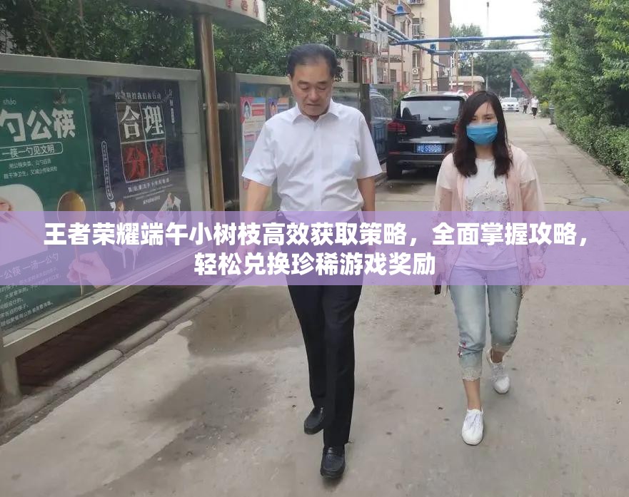 王者荣耀端午小树枝高效获取策略，全面掌握攻略，轻松兑换珍稀游戏奖励