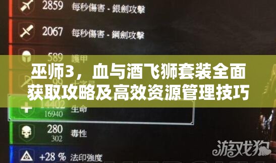 巫师3，血与酒飞狮套装全面获取攻略及高效资源管理技巧
