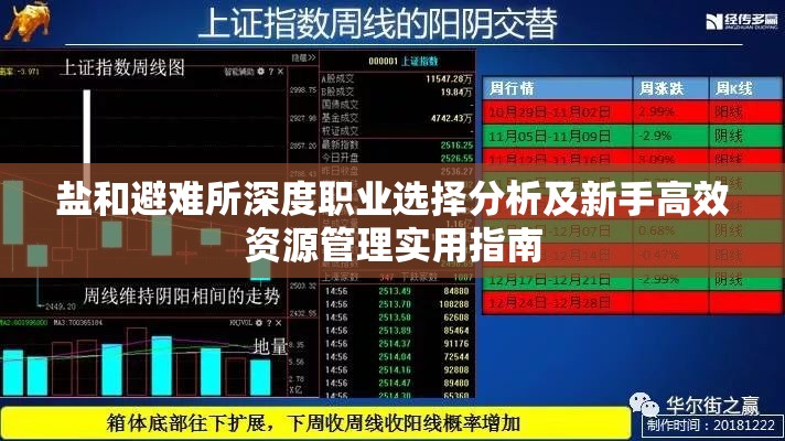 盐和避难所深度职业选择分析及新手高效资源管理实用指南