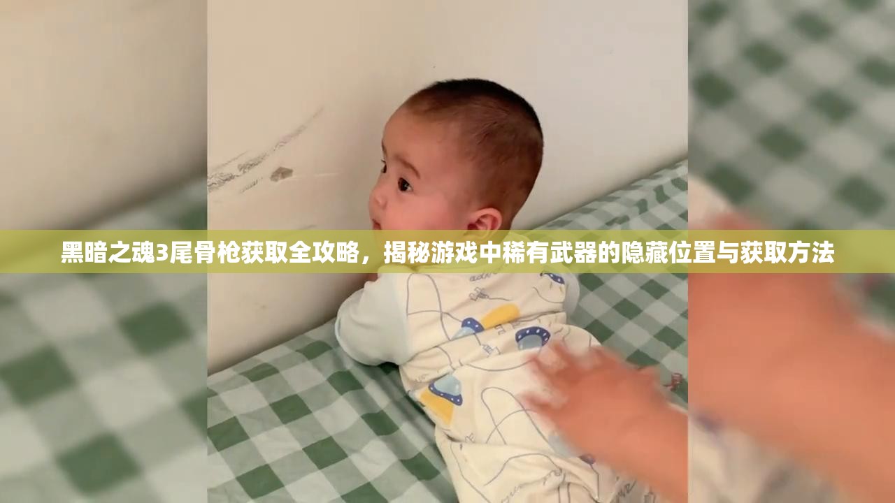 黑暗之魂3尾骨枪获取全攻略，揭秘游戏中稀有武器的隐藏位置与获取方法