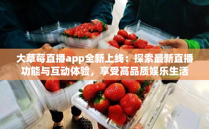 大草莓直播app全新上线：探索最新直播功能与互动体验，享受高品质娱乐生活