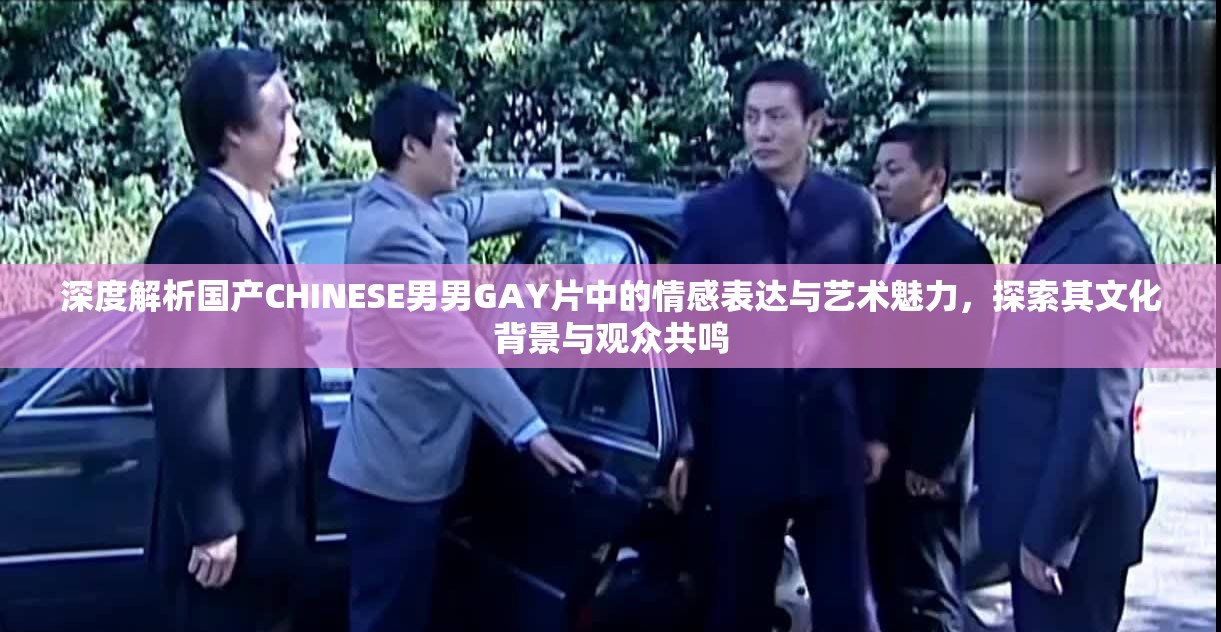 深度解析国产CHINESE男男GAY片中的情感表达与艺术魅力，探索其文化背景与观众共鸣