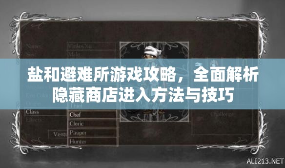 盐和避难所游戏攻略，全面解析隐藏商店进入方法与技巧