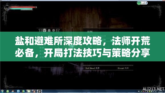 盐和避难所深度攻略，法师开荒必备，开局打法技巧与策略分享