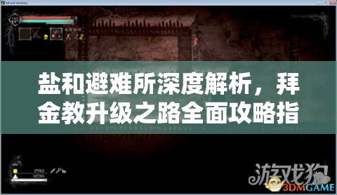 盐和避难所深度解析，拜金教升级之路全面攻略指南