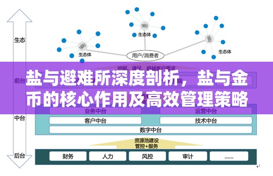 盐与避难所深度剖析，盐与金币的核心作用及高效管理策略