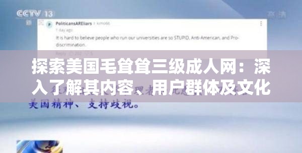 探索美国毛耸耸三级成人网：深入了解其内容、用户群体及文化影响