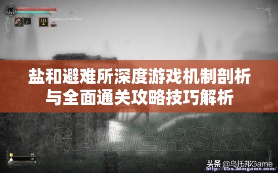 盐和避难所深度游戏机制剖析与全面通关攻略技巧解析