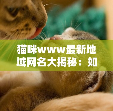 猫咪www最新地域网名大揭秘：如何的爱猫取一个独特又符合地域特色的名字？