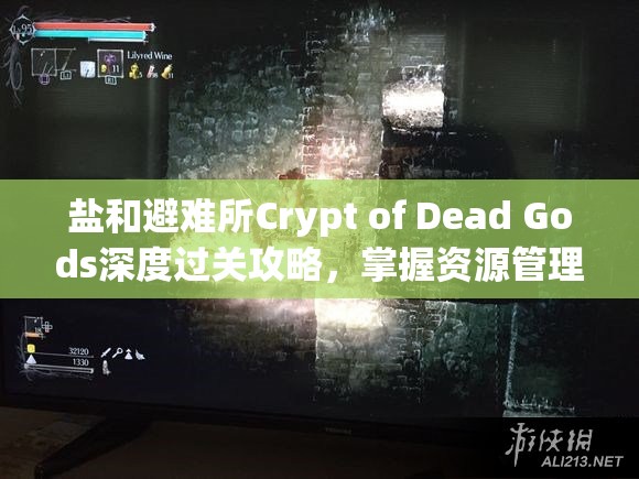 盐和避难所Crypt of Dead Gods深度过关攻略，掌握资源管理的艺术与策略