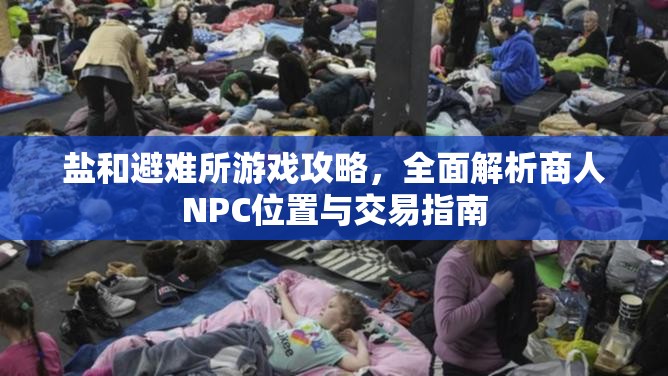 盐和避难所游戏攻略，全面解析商人NPC位置与交易指南