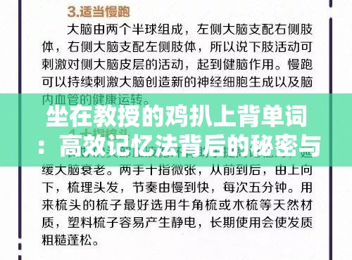 坐在教授的鸡扒上背单词：高效记忆法背后的秘密与技巧分享