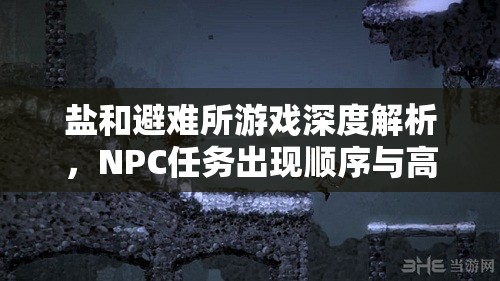 盐和避难所游戏深度解析，NPC任务出现顺序与高效资源管理策略