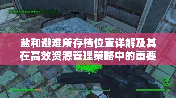 盐和避难所存档位置详解及其在高效资源管理策略中的重要性