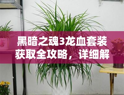 黑暗之魂3龙血套装获取全攻略，详细解析龙血套装获得方法与步骤