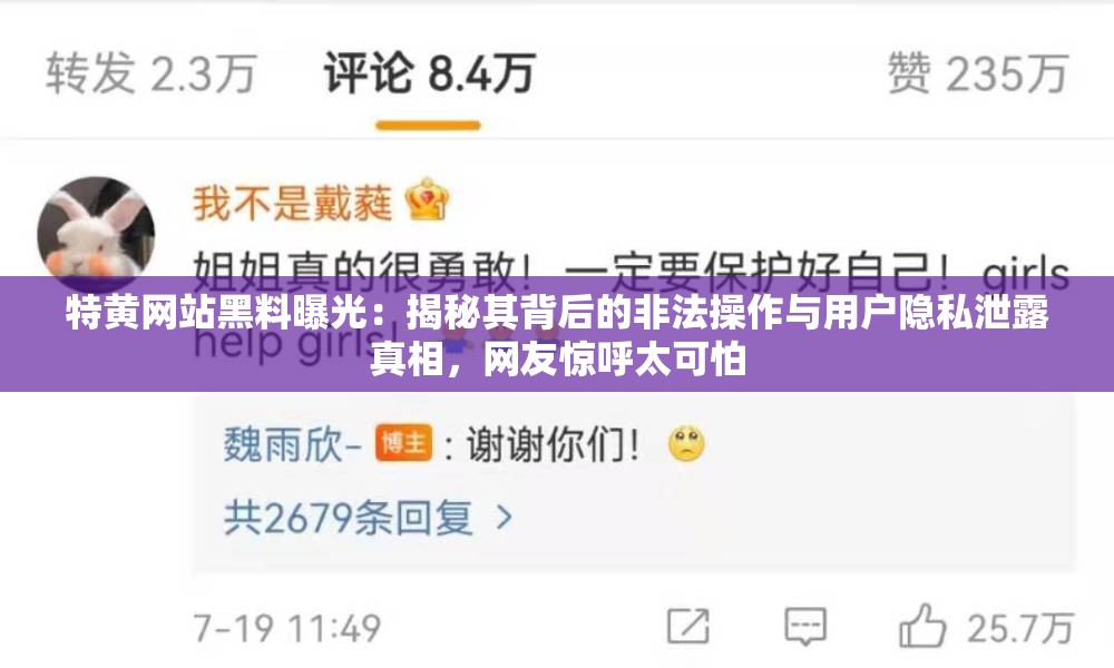 特黄网站黑料曝光：揭秘其背后的非法操作与用户隐私泄露真相，网友惊呼太可怕