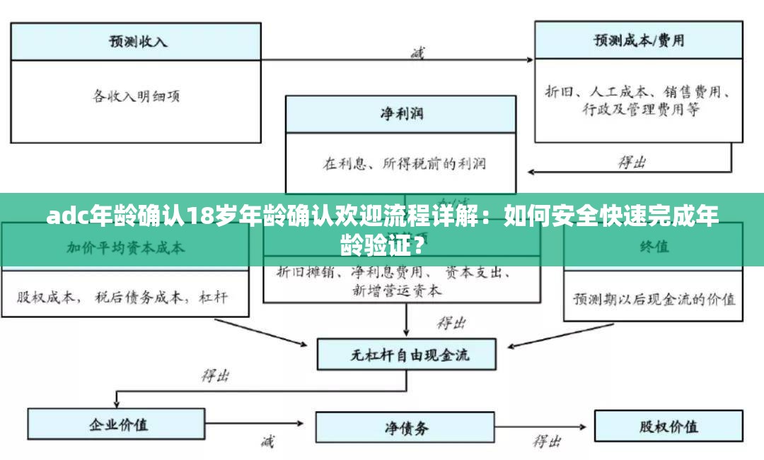 adc年龄确认18岁年龄确认欢迎流程详解：如何安全快速完成年龄验证？