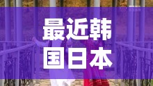 最近韩国日本免费高清观看MV热门推荐：最新流行音乐视频一网打尽，畅享视听盛宴