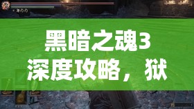 黑暗之魂3深度攻略，狱卒与烙铁怪的战斗技巧与高效资源管理策略