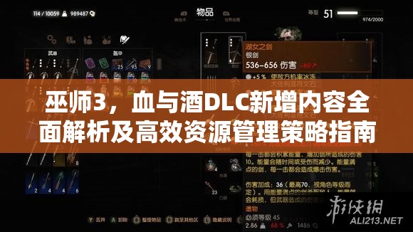 巫师3，血与酒DLC新增内容全面解析及高效资源管理策略指南