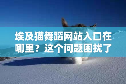 埃及猫舞蹈网站入口在哪里？这个问题困扰了我好久，谁能告诉我？