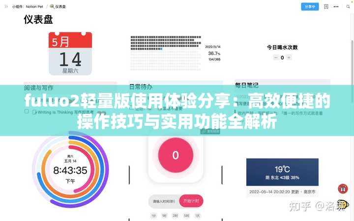 fuluo2轻量版使用体验分享：高效便捷的操作技巧与实用功能全解析