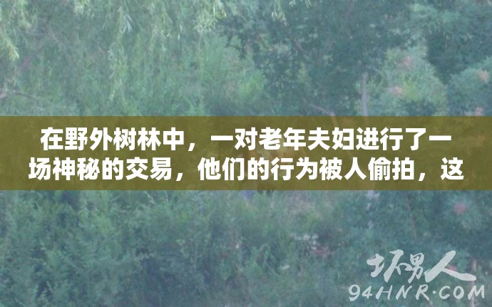 在野外树林中，一对老年夫妇进行了一场神秘的交易，他们的行为被人偷拍，这张照片在网络上引起了轩然大波这对夫妇的身份和交易内容成为了人们关注的焦点，各种猜测和传言不断涌现这张照片揭示了社会中存在的一些问题，也引发了人们对于隐私和道德的深刻思考