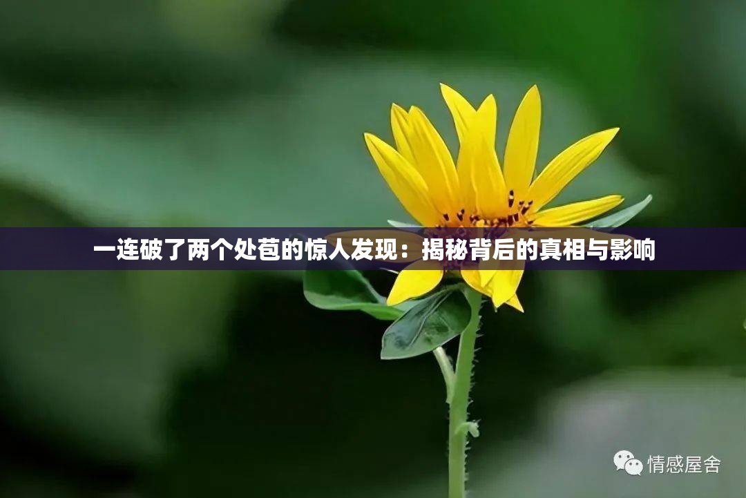 一连破了两个处苞的惊人发现：揭秘背后的真相与影响