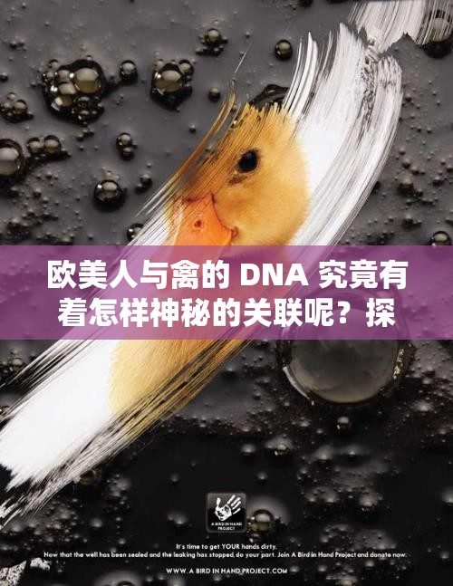 欧美人与禽的 DNA 究竟有着怎样神秘的关联呢？探秘其中奥秘欧美人与禽的 DNA 生成如此奇特组合背后有何缘由？欧美人与禽的 DNA 是如何相互交织产生奇妙现象的？