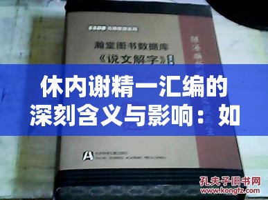 休内谢精一汇编的深刻含义与影响：如何理解其在现代学术与文化中的独特价值？