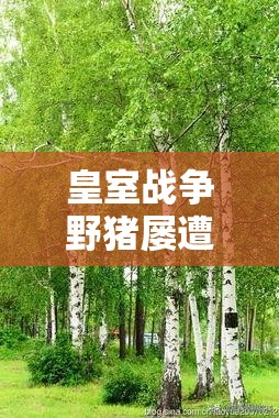 皇室战争野猪屡遭削弱后是否绝迹？探索电火猪卡组全新生存之道？