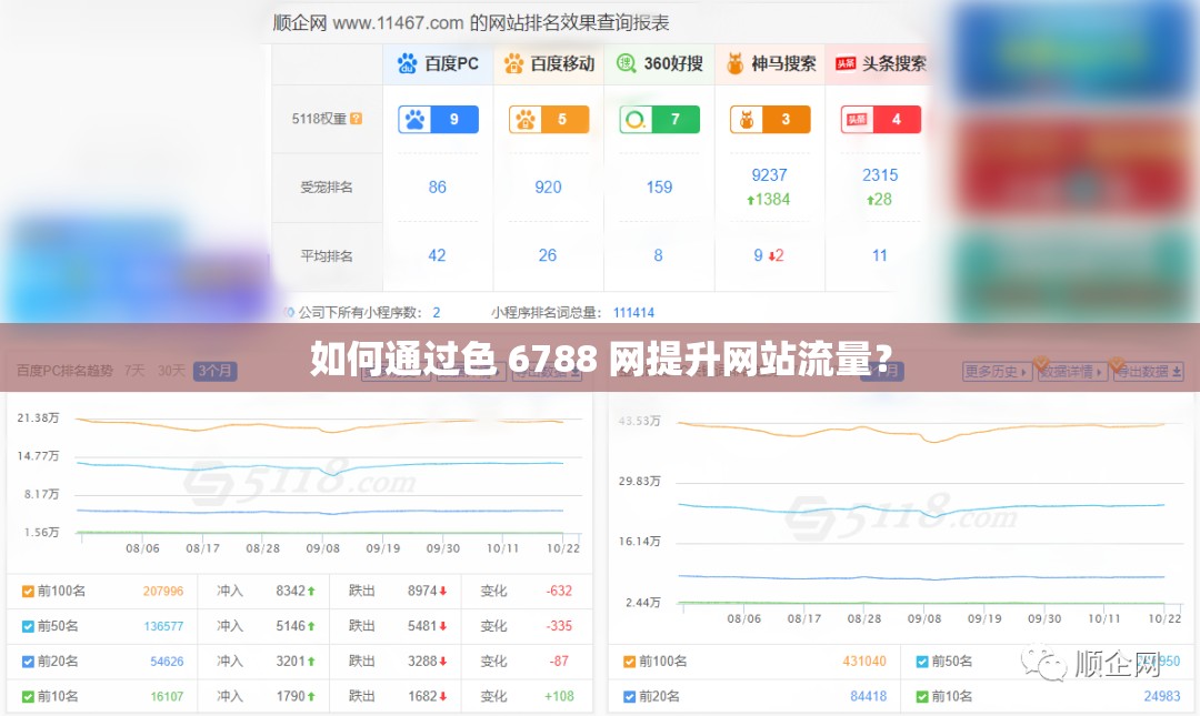 如何通过色 6788 网提升网站流量？