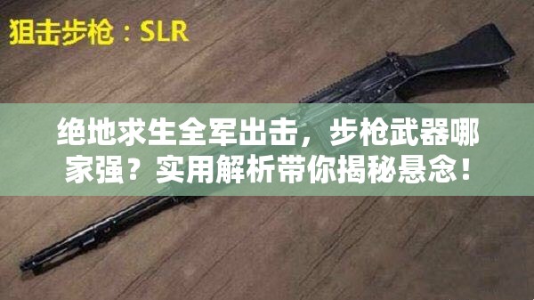 绝地求生全军出击，步枪武器哪家强？实用解析带你揭秘悬念！