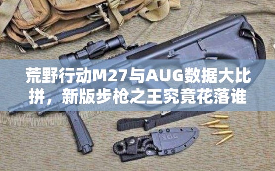 荒野行动M27与AUG数据大比拼，新版步枪之王究竟花落谁家？