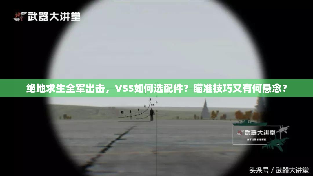 绝地求生全军出击，VSS如何选配件？瞄准技巧又有何悬念？