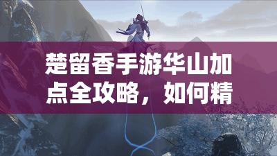 楚留香手游华山加点全攻略，如何精准加点打造无敌华山？