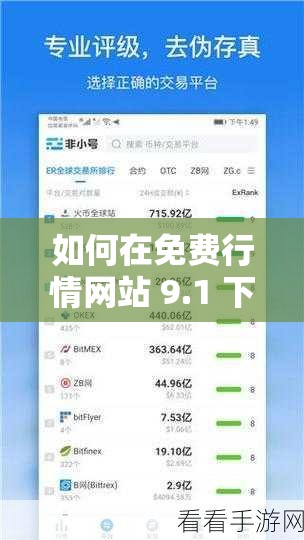 如何在免费行情网站 9.1 下载？有哪些需要注意的问题？