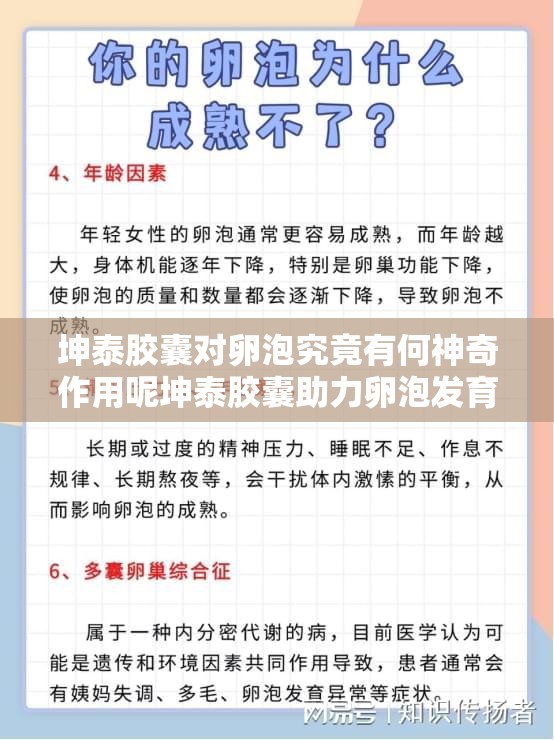 坤泰胶囊对卵泡究竟有何神奇作用呢坤泰胶囊助力卵泡发育的奥秘何在坤泰胶囊影响卵泡的作用究竟怎样呢