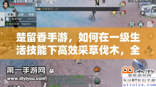 楚留香手游，如何在一级生活技能下高效采草伐木，全攻略揭秘？