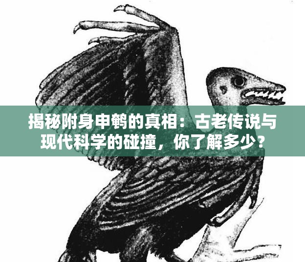 揭秘附身申鹌的真相：古老传说与现代科学的碰撞，你了解多少？