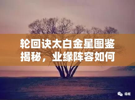 轮回诀太白金星图鉴揭秘，业缘阵容如何搭配？深度解析等你来探！