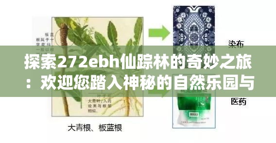 探索272ebh仙踪林的奇妙之旅：欢迎您踏入神秘的自然乐园与奇幻世界