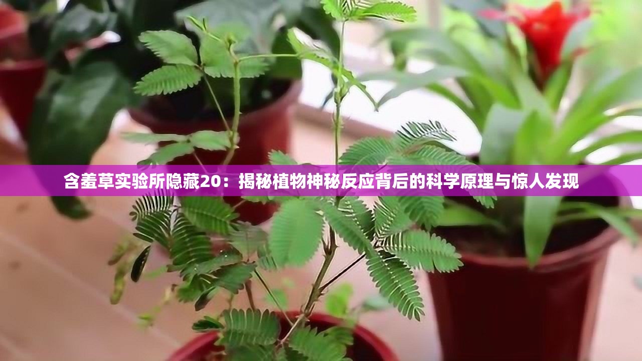 含羞草实验所隐藏20：揭秘植物神秘反应背后的科学原理与惊人发现