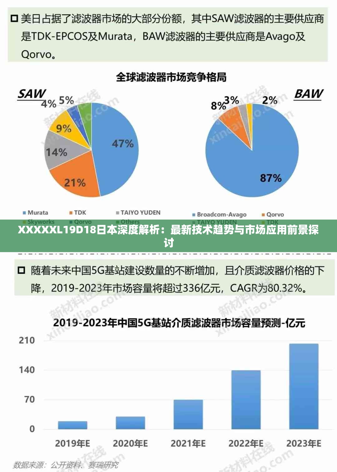 XXXXXL19D18日本深度解析：最新技术趋势与市场应用前景探讨