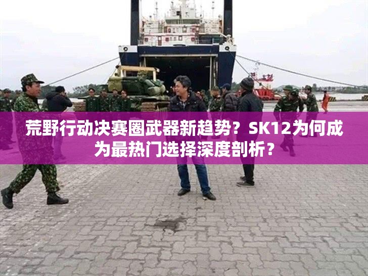 荒野行动决赛圈武器新趋势？SK12为何成为最热门选择深度剖析？