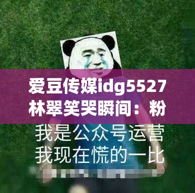 爱豆传媒idg5527林翠笑哭瞬间：粉丝热议的搞笑表情包背后的故事